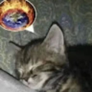 Meet your Posher, Nathan